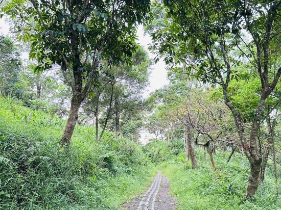 宜蘭冬山香格里拉休閒農場優惠