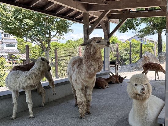 宜蘭綠舞國際觀光飯店優惠