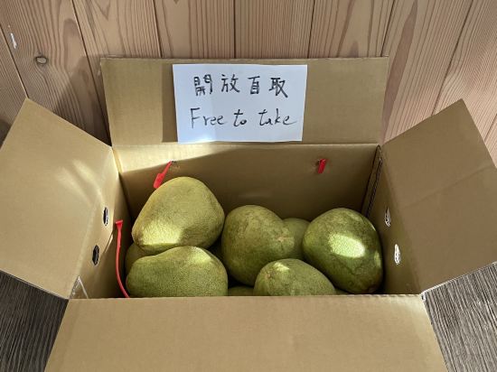 花蓮Sleeping Boot背包客棧優惠