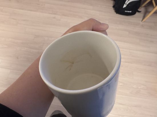 더 앤 리조트 호텔 쿠폰