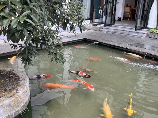 雲水謠錦繡雲夕民宿優惠