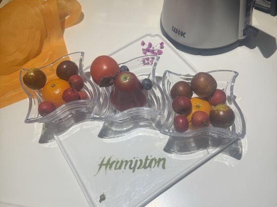 深圳寶安體育館希爾頓歡朋酒店優惠