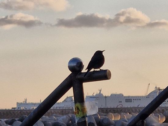 호텔 리젠트 마린 더블루 쿠폰