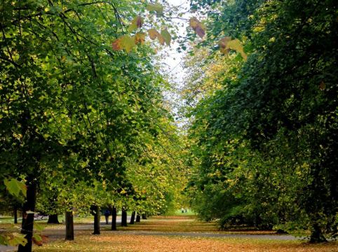 倫敦希思羅機場萬麗酒店優惠