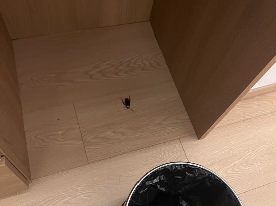 武夷山如懿畲家院優惠