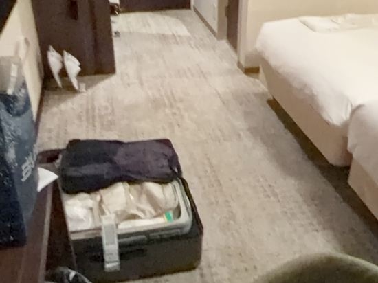 リッチモンドホテル札幌大通 クーポン