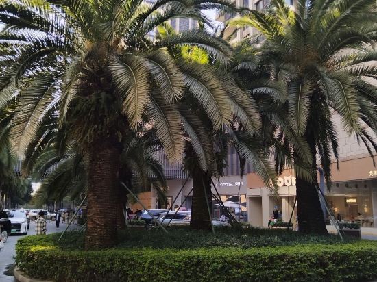 深圳温德姆至尊酒店優惠