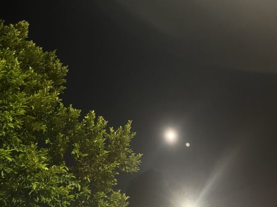 富士酒店 （Staycation Approved）優惠