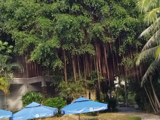 林同富國島度假酒店優惠