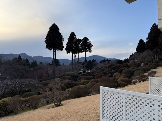 小田急山のホテル クーポン