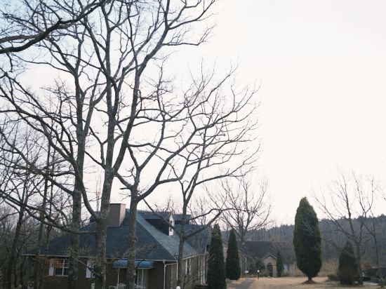 久住高原 銀河のやどきのこ 2 世号 クーポン