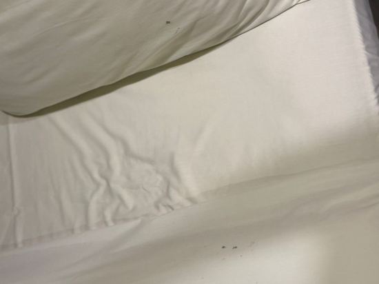 皇簽國際大酒店優惠