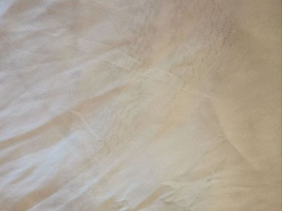 北舊金山機場舒適套房酒店優惠