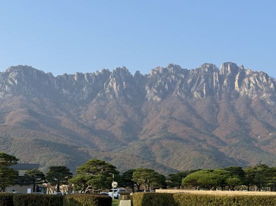 소노펠리체 델피노 고성 쿠폰