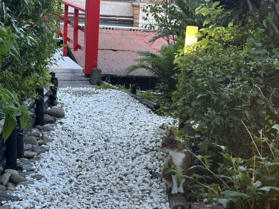 片瀬館ひいな クーポン