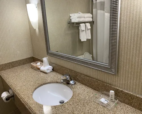 Holiday Inn ARLINGTON AT BALLSTON by IHG Kamar Photos