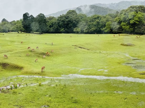 ホテルウィングインターナショナル湘南藤沢 クーポン