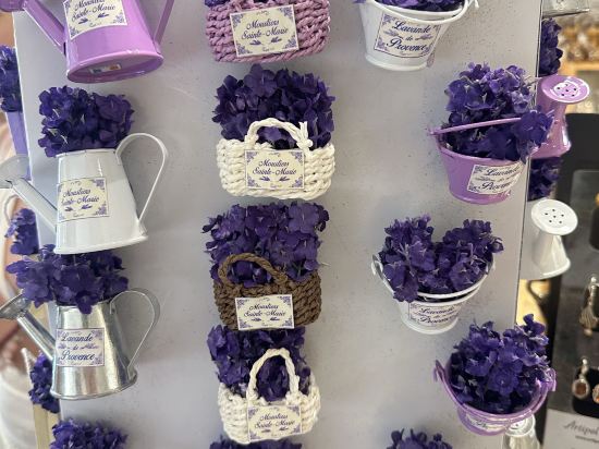 假日度假尼斯酒店優惠