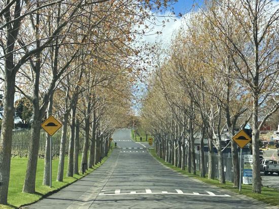 貝斯特韋斯特機場汽車旅館及會議中心優惠