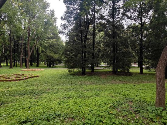 桔子水晶北京天安門王府井飯店優惠