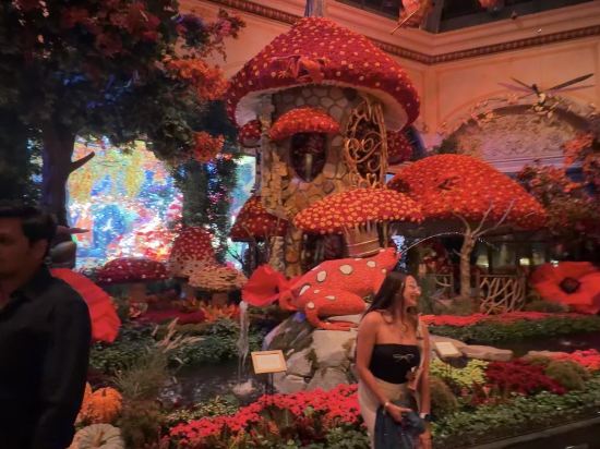 拉斯維加斯百樂宮飯店優惠