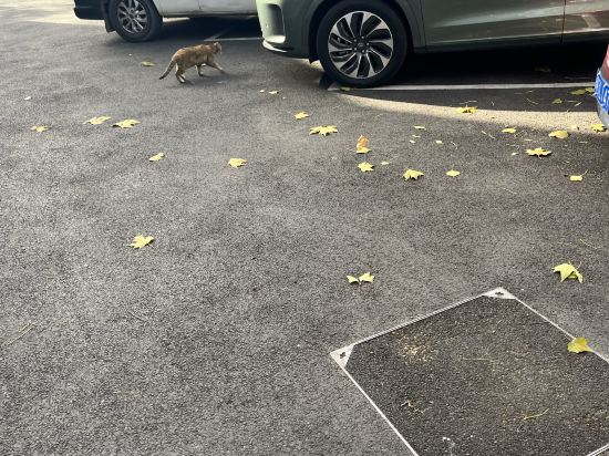 北京花間堂·後海優惠