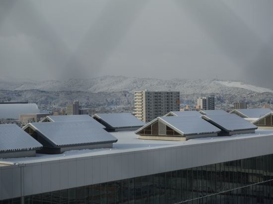 ワイズホテル旭川駅前 クーポン