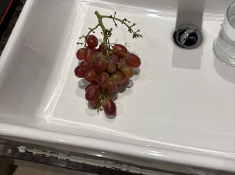 珠海新海利大酒店優惠