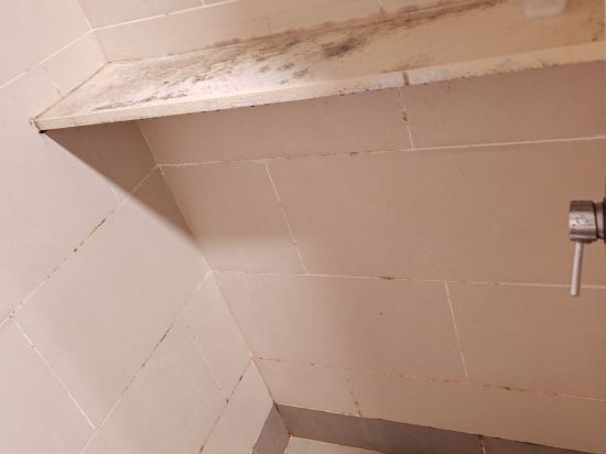 賽城羅望子套房酒店優惠