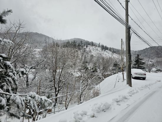 Yangpyeong Koala Kids Pool Villa 쿠폰