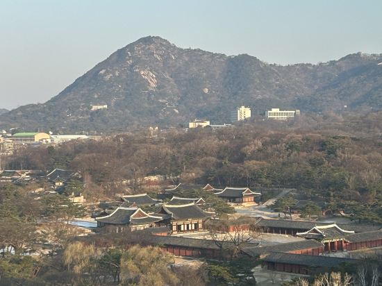 메이플레이스 서울 동대문 쿠폰