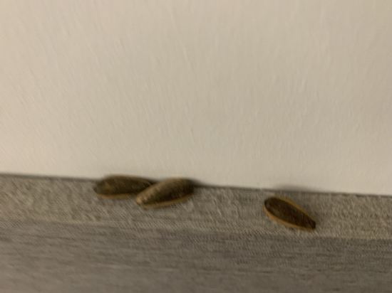 青島天一仁和智選假日酒店優惠