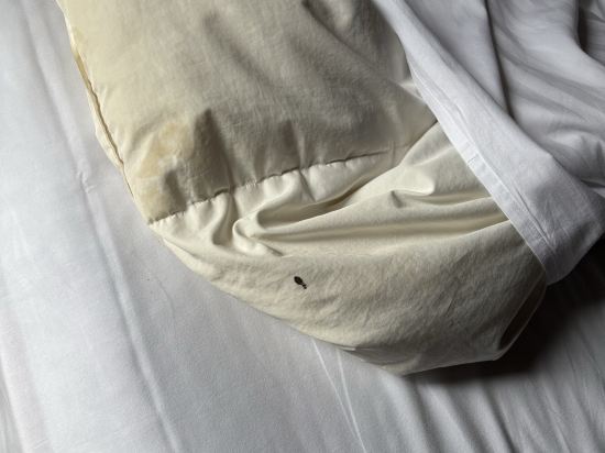 ホテルリリーフなんば大国町 クーポン