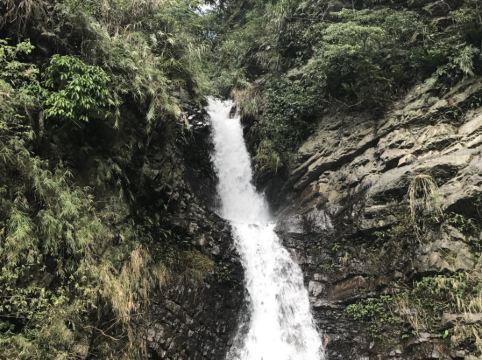 南投妖怪村主題飯店-溪頭明山森林會館優惠