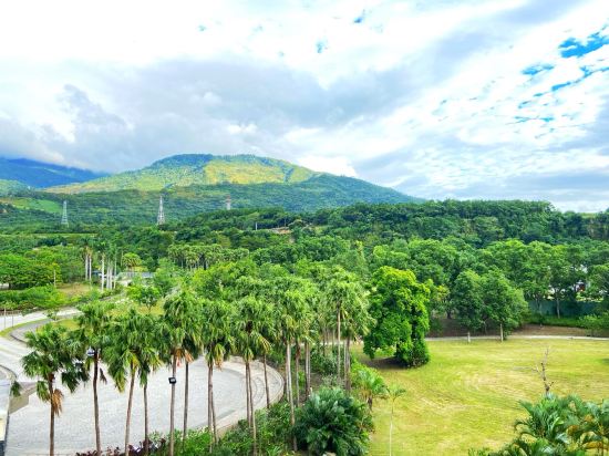 台東鹿野鹿鳴溫泉飯店優惠