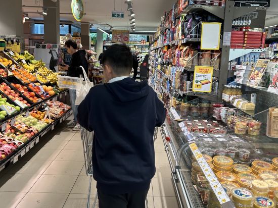 維也納阿迪娜飯店式服務式公寓優惠