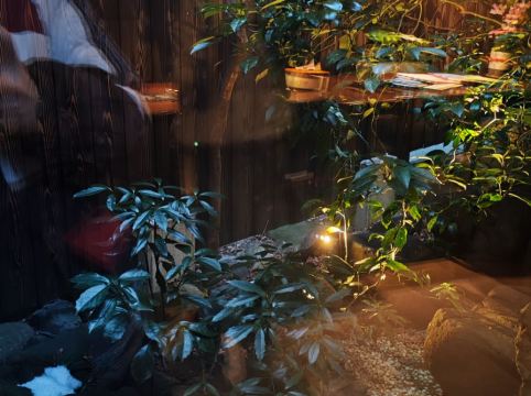 THE MACHIYA HOTEL TAKAYAMA クーポン