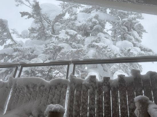 ラビスタ大雪山 クーポン