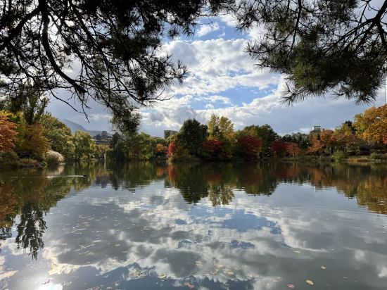 札幌十字飯店優惠