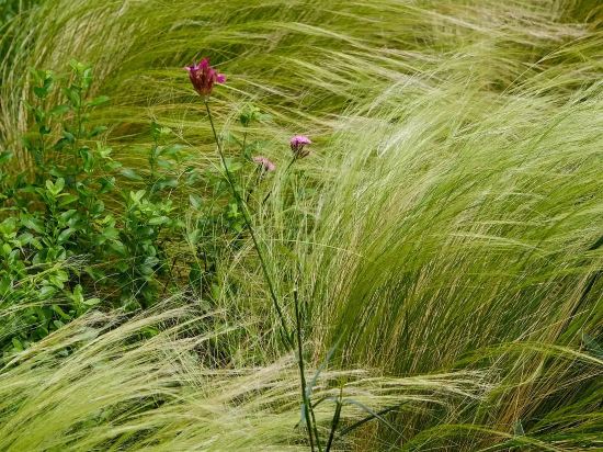 奇遇派飯店（杭州西湖河坊街店）優惠