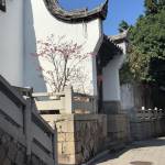 福建閩江飯店（福州三坊七巷店） - 2025 福州酒店訂房人氣優惠及住客