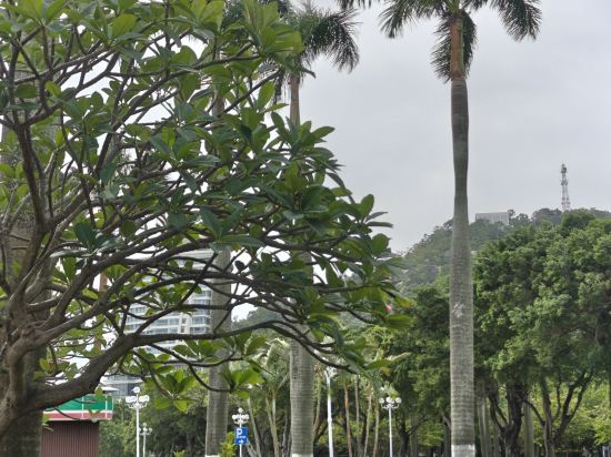 熙尚碧海酒店（珠海情侶路日月貝店）優惠