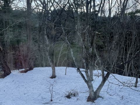 奥塩原高原ホテル クーポン