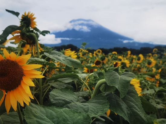 二世古東山度假村麗思卡爾頓隱世精品度假飯店優惠