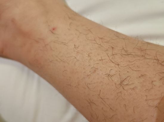 羅斯蘭科普酒店優惠