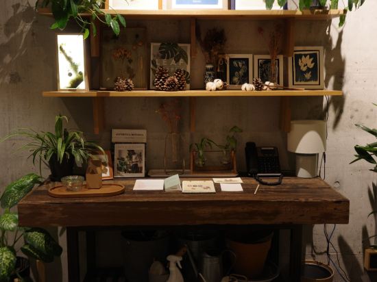 克洛伊酒店優惠