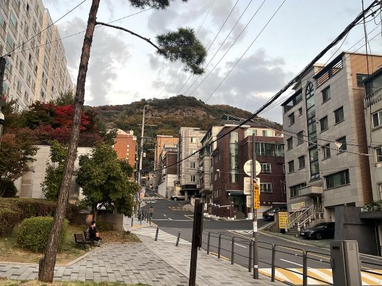 Junggok Pine Hill 쿠폰