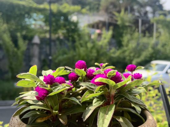 萬科松花湖拾光山舍別墅優惠