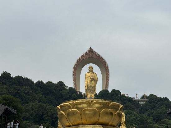 廬山湯太宗溫泉度假村優惠