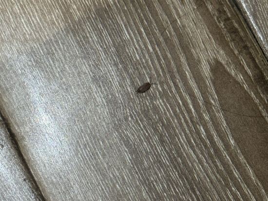 上海新國際博覽中心龍陽路亞朵飯店優惠
